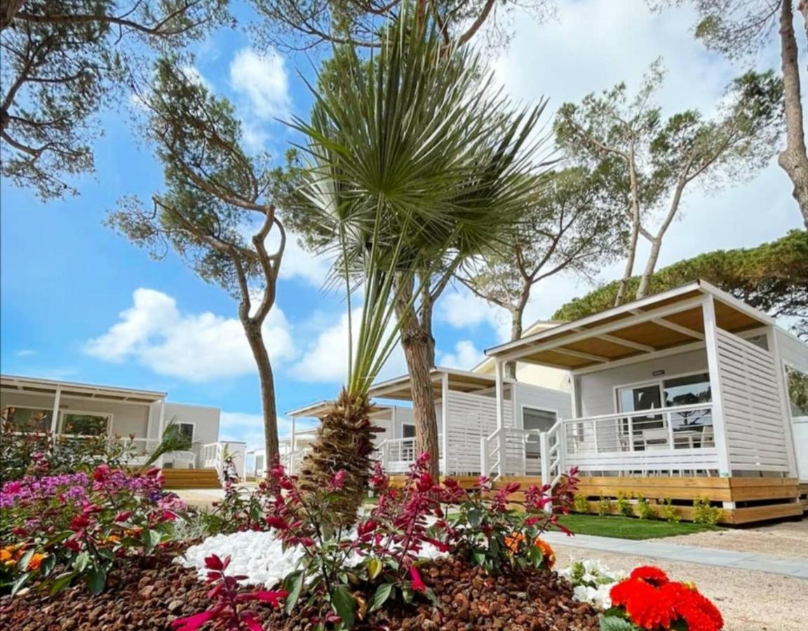 Anxur Village Camping Terracina Exterior foto